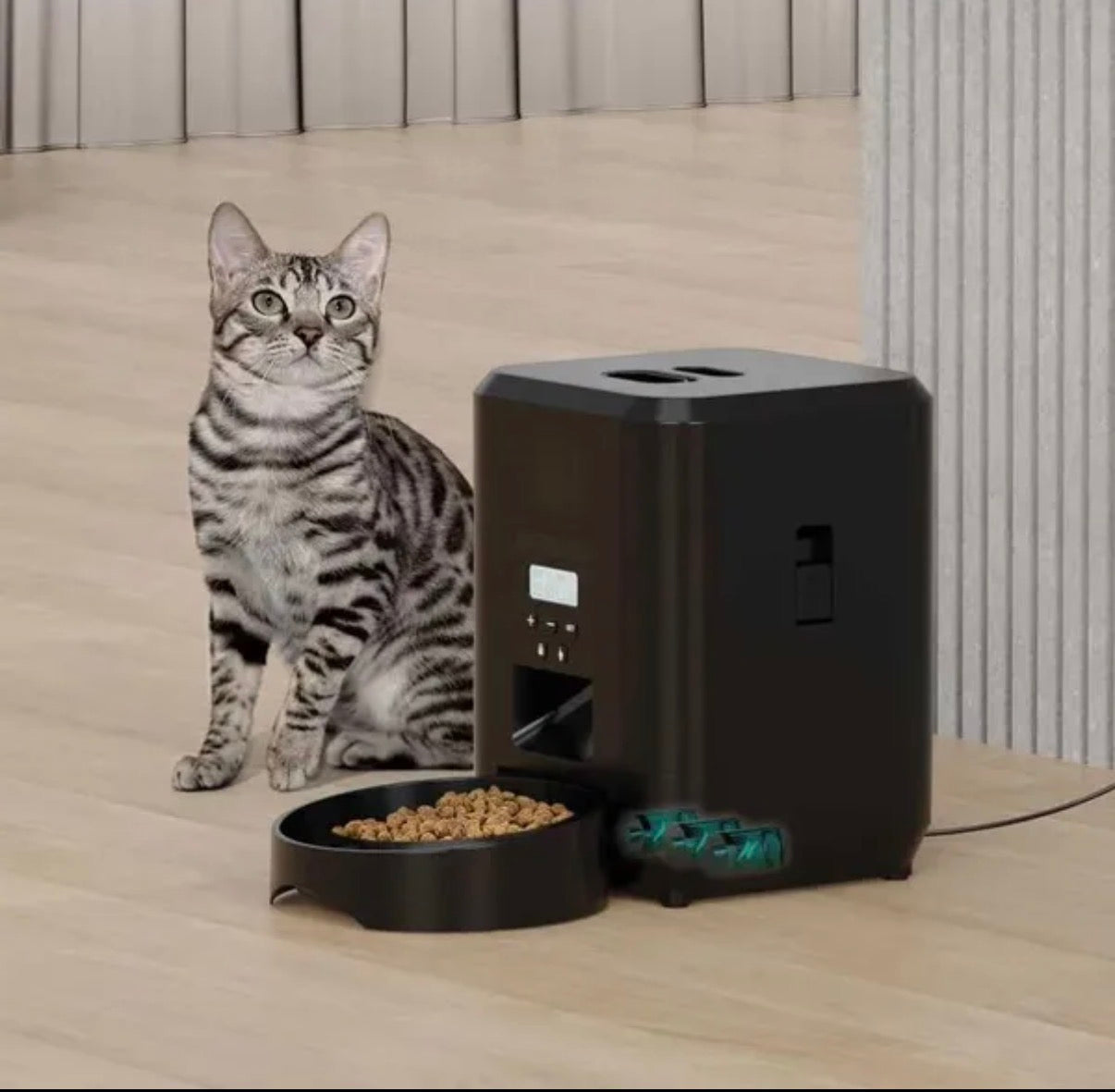 Automatic Pet Feeder